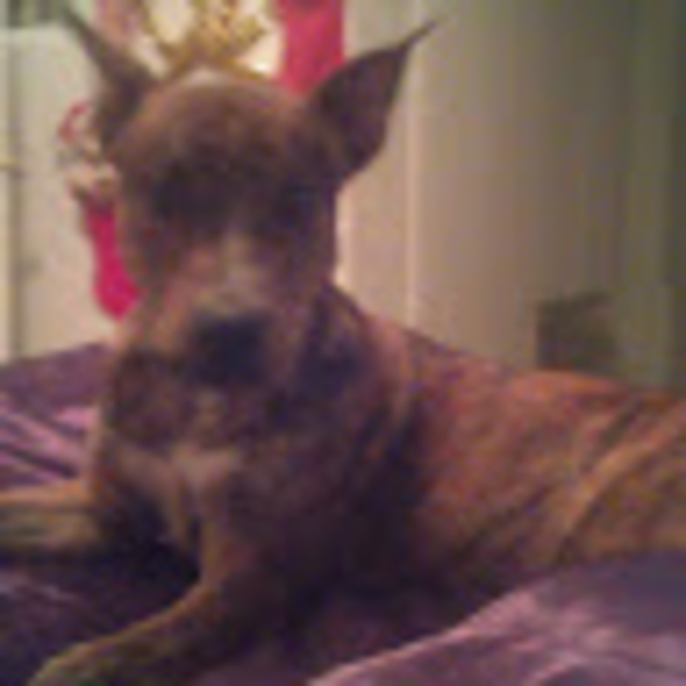 Meet your Posher, Kelly